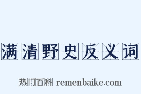 满清野史反义词是什么意思的图片